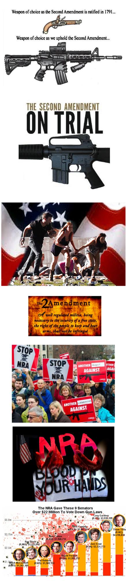 Photo Essay - of Right Wing Populist Nationalism - Fueled by the NRA - is it good or bad for America?