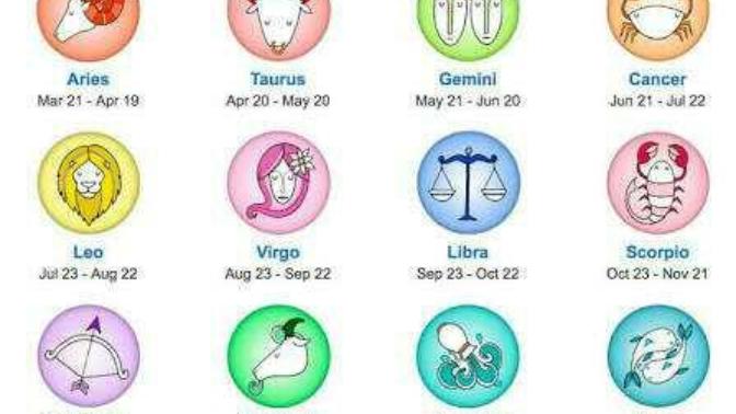 Does below fit with your Zodiac? 😂?