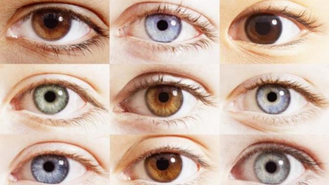How to know whether I carry gene of blue, purple or green eyes?
