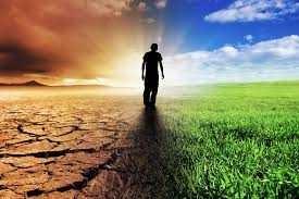 Honorable Death VS Life Dragged Out In Shame??