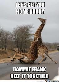 What is the stupidest thing you have done while you are drunk? And whats your favorite beverage?
