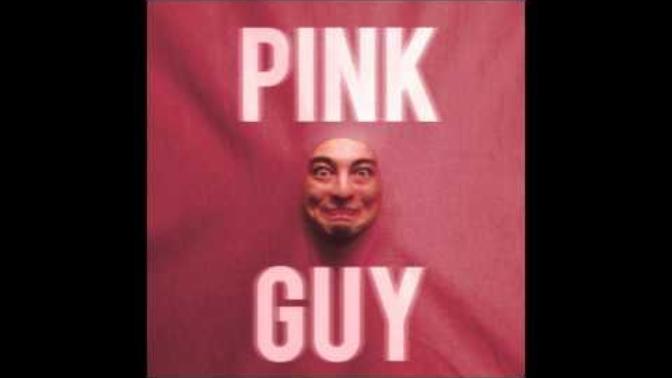 Did you listen to both Pink Guy albums?