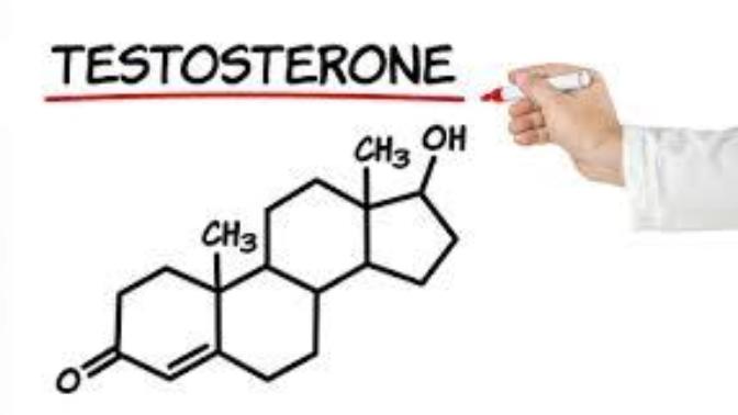 I know probably none of you are doctors, anyways what do you consider a man or is the typical male behavior that has low testosterone?