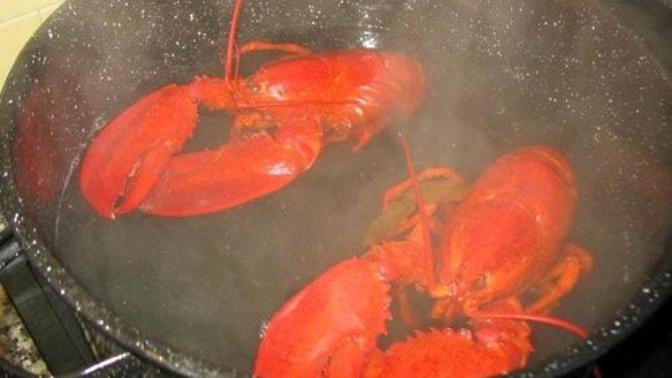 What is one food that you consider unethically produced, made or harvested?