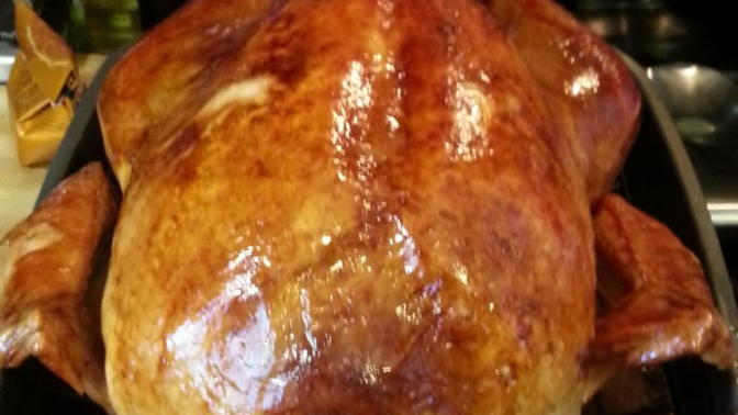 What will you do to celebrate Thanksgiving?