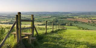 Would you prefer to live in the city or the countryside?
