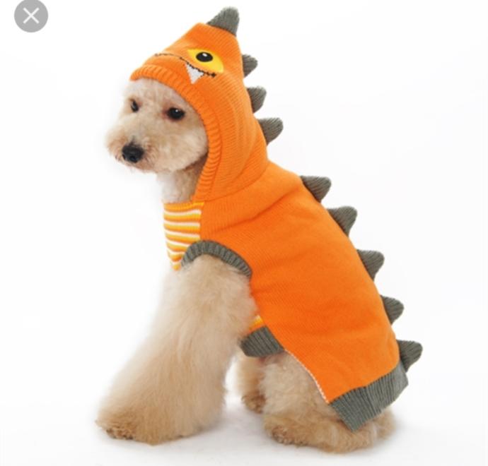 What do you think of those people who dress their pets up in little sweaters?