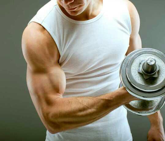 Girls, what do you find more attractive: Abs or Arms??