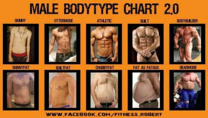 Rank these body types in terms of attractiveness please?