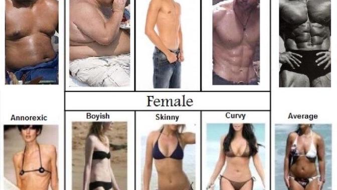 What is your ideal partners body type?