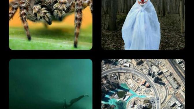 What do you fear most?