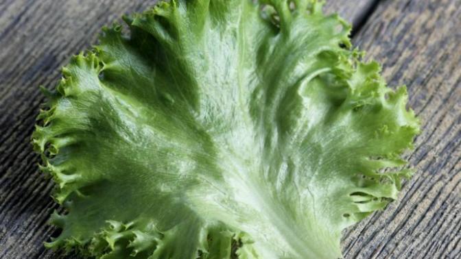 Do you like leaf lettuce or shredded lettuce on your burger?