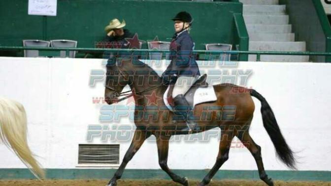 Do you consider horseback riding a sport (why or why not)?