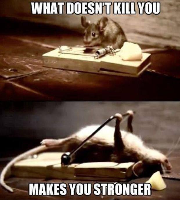 Is it true what's not killing you are making you stronger?