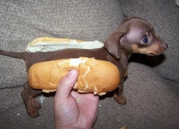 How adventurous are you about trying new food?