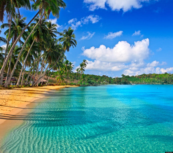 If you had to walk along one of these beaches which one would you choose? 