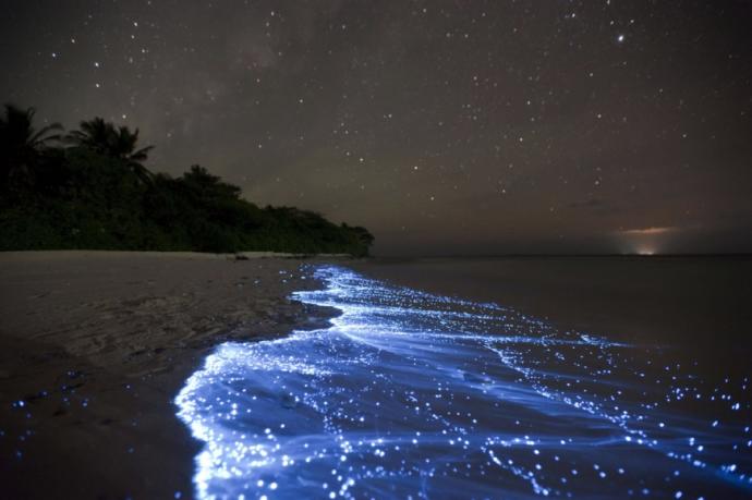 If you had to walk along one of these beaches which one would you choose? 