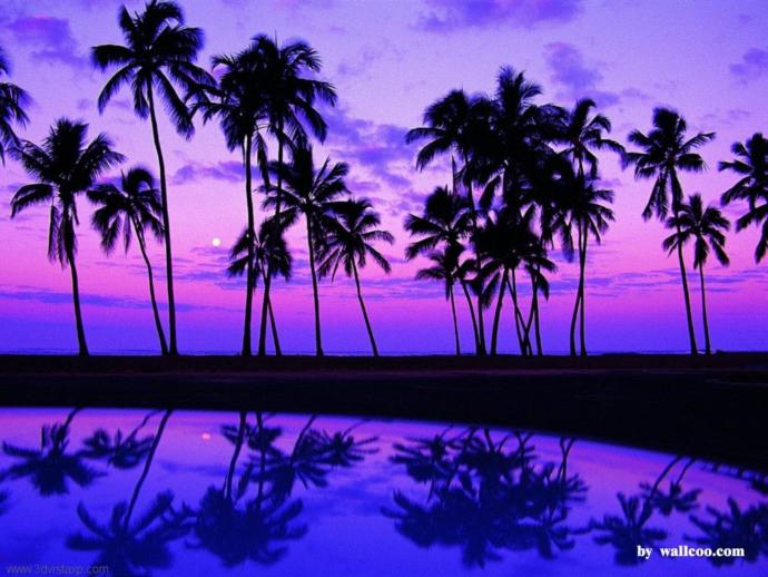 If you had to walk along one of these beaches which one would you choose? 