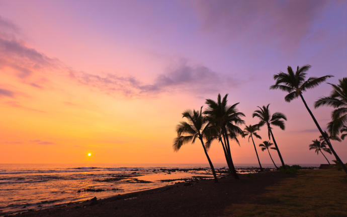 If you had to walk along one of these beaches which one would you choose? 