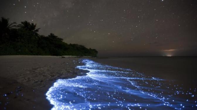If you had to walk along one of these beaches which one would you choose?