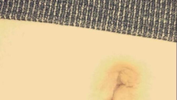 Call me a pleb, but a girl sent me a picture and then another of her but and stuff. What's the thing in this first picture, I honestly am not sure?
