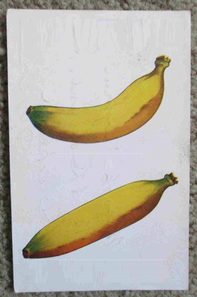 Girls, what type of penis do you prefer? Straight or curve? and why?
