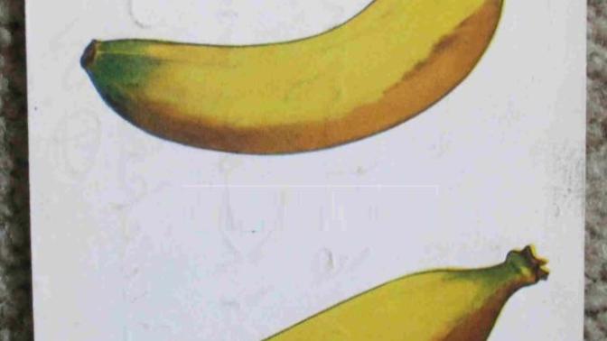 Girls, what type of penis do you prefer? Straight or curve? and why?