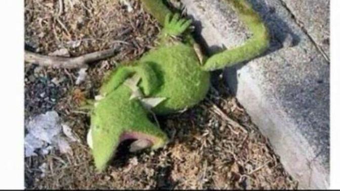 Girls, We are seeing each other but Im dating other girls and she has a boyfriend. Wtf?