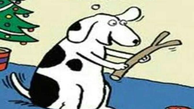 Do you buy your pets Christmas presents?