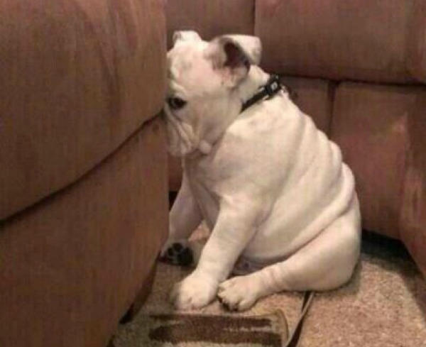 Ever hold your head up high when people stare?