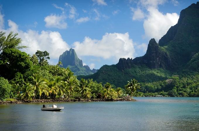 Do you like the Caribbean or Pacific islands better?