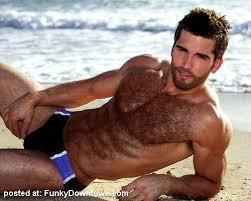 Girls, do you like hairy guys?