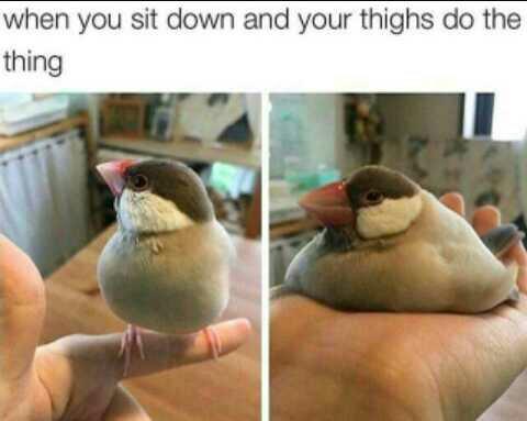 Do guys really like girls with thick thighs?