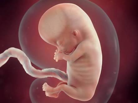 Hot topic: What’s your say on Abortion?!?