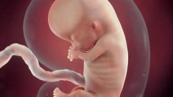 Hot topic: What’s your say on Abortion?