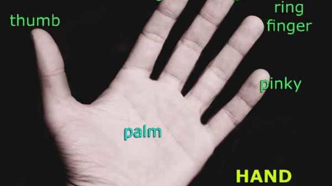 Guys, do you have a longer ring finger or a loner index finger?