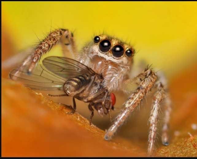 Do you have a phobia??