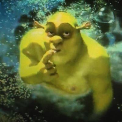Would you date Shrek?