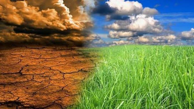 Is human activity primarily responsible for global climate change?
