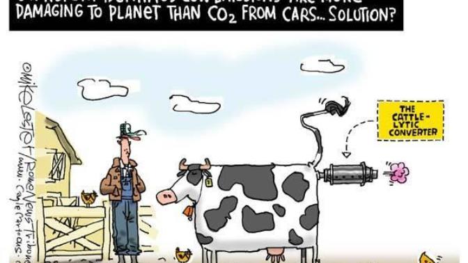 Why not just kill all the cows?
