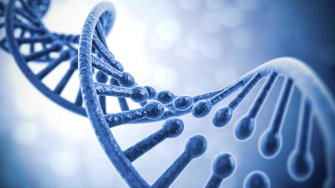 Why is it not politically correct or controversial to mention biology in settings such as politics or race relations of any kind?
