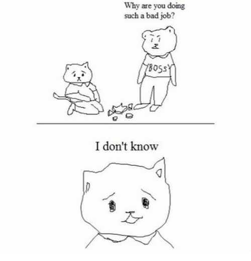 What are you like when you start a new job??