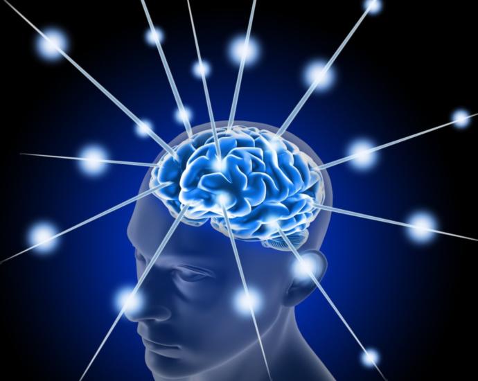 How many words, languages and memories is a brain capable to storage?