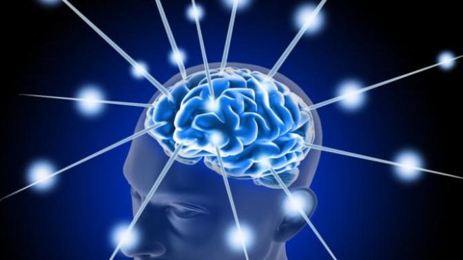 How many words, languages and memories is a brain capable of storing?
