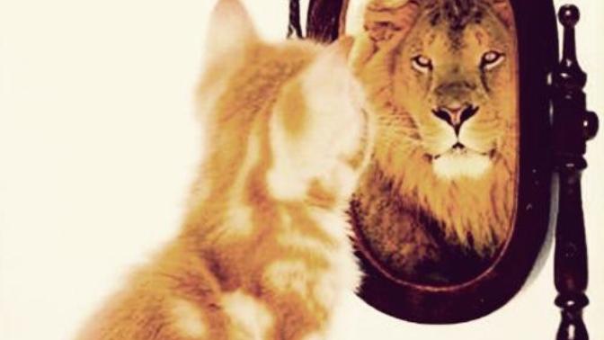 How to gain confidence?