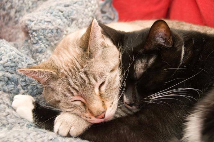 Is it weird to ask a female friend if she wants to cuddle?