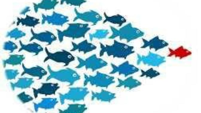 Are you a leader or a follower?