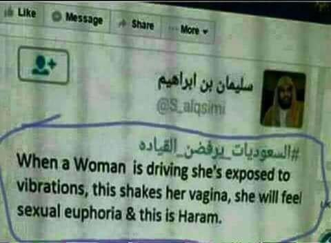 Do you, or do you not, feel sexual pleasure while in a moving car?
