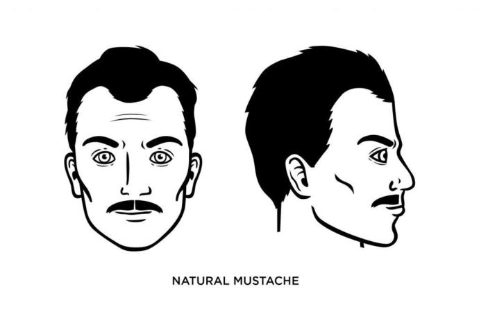 What is your favorite facial hair style?