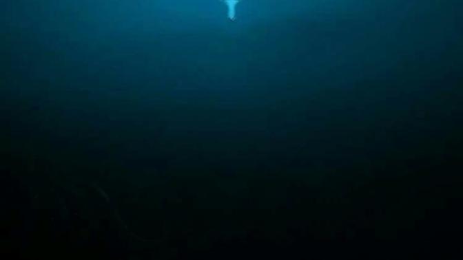 What are your biggest fears?